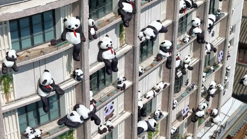 Fotografia dimineții - Urși panda din pluș au fost amplasați la ferestrele unui hotel din Yantai, China